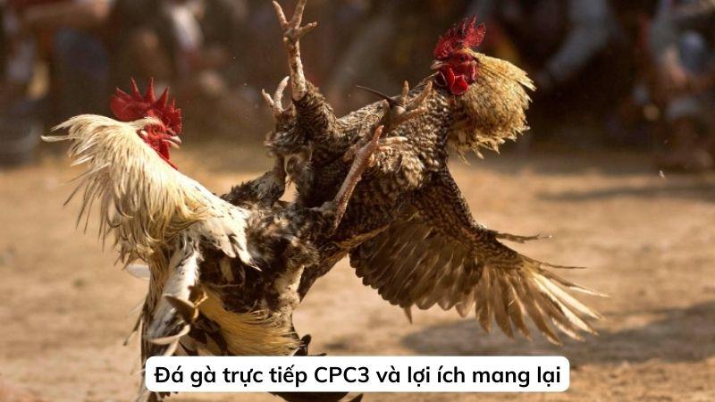 da-ga-truc-tiep-cpc3-2q